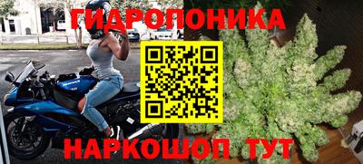 каннабис Шелехов