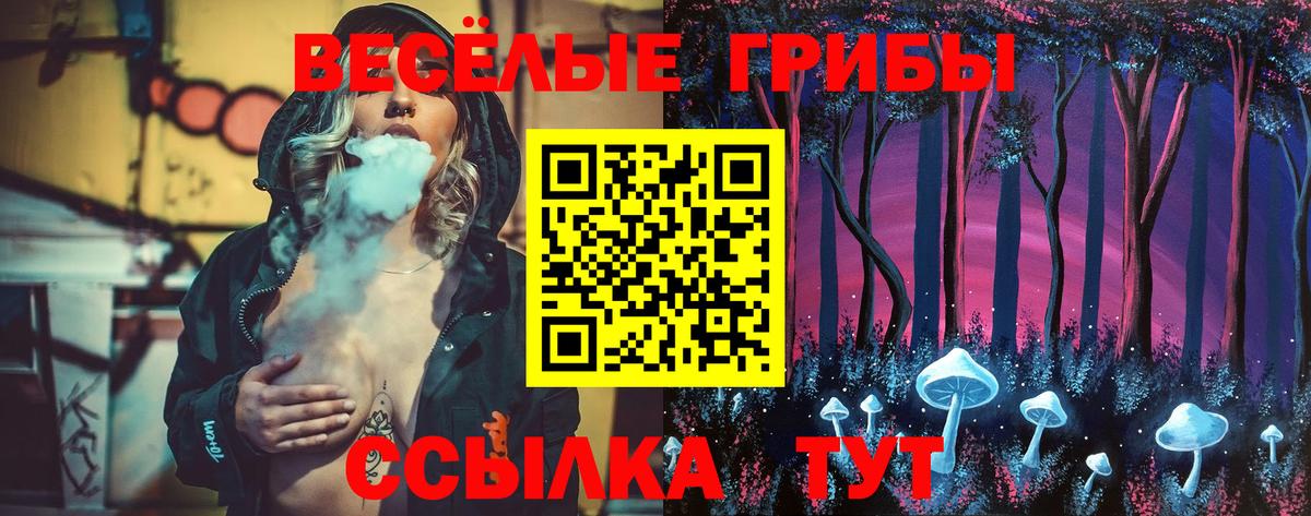 Баксан  Галлюциногенные грибы GOLDEN TEACHER  Вход с VPN 