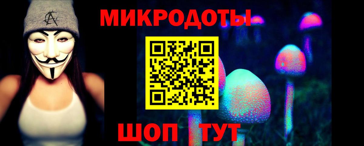 Псилоцибиновые грибы GOLDEN TEACHER Баксан